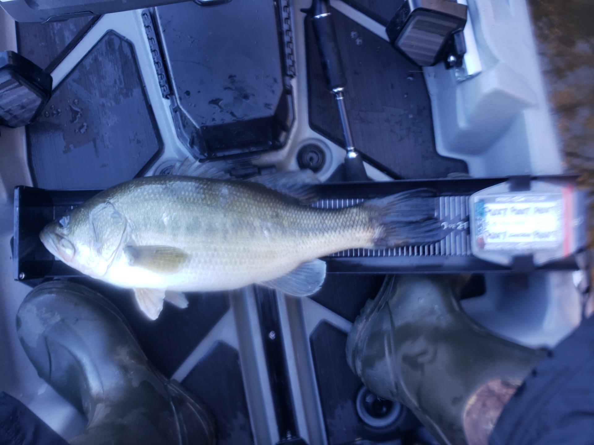 Timothy Jennings Angler Profile