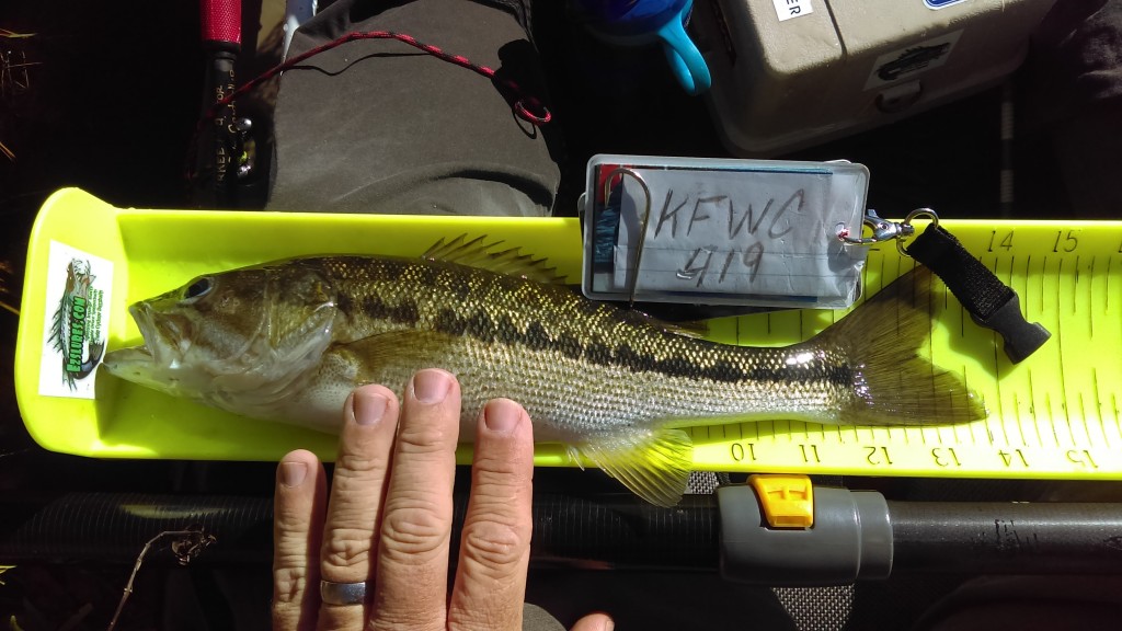 Jimmy Cantrell Jr Angler Profile