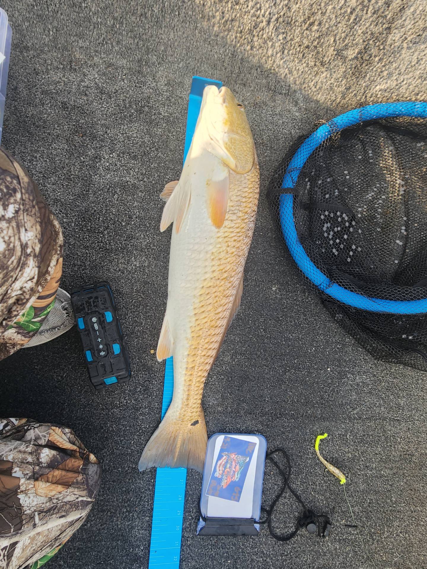 James Westbrook Angler Profile