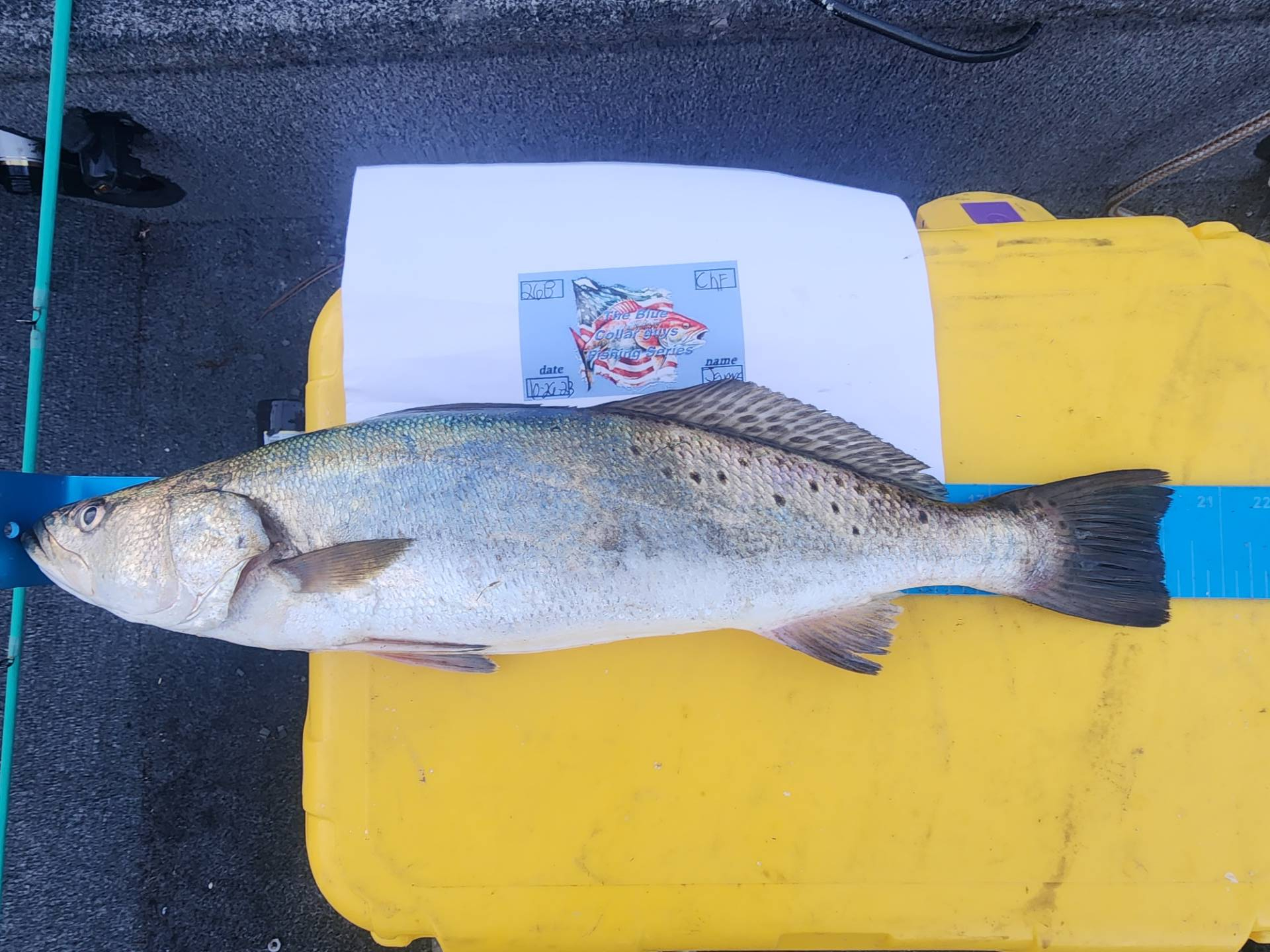 James Westbrook Angler Profile