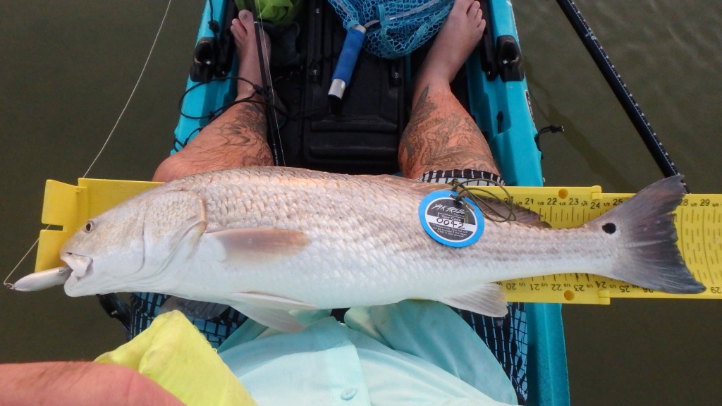 Dustin NICHOLS Angler Profile